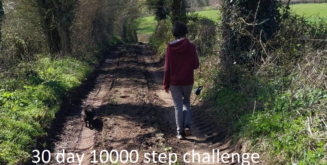 1000 Steps