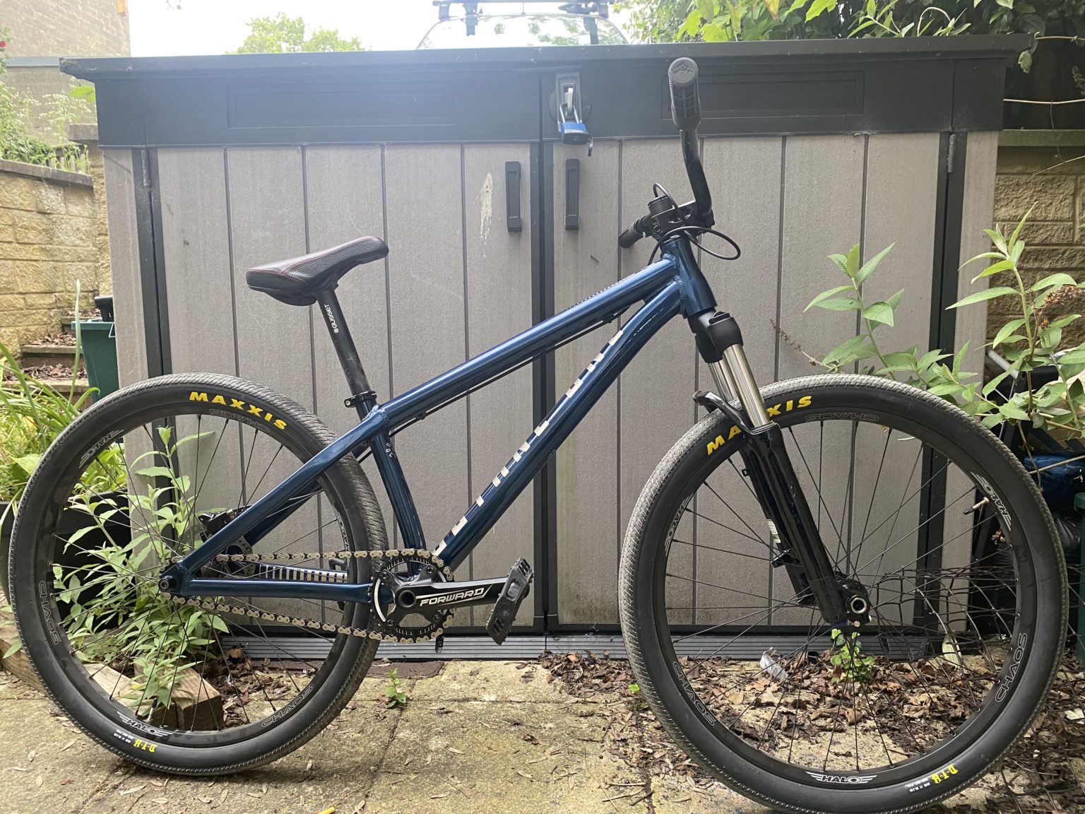 octane one zircus review
