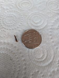 WhatsApp Image 2025 11 02 at 14.24.11